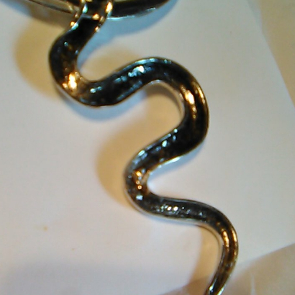 Nwt Snake Necklace and Earrings Set - Picture 14 of 14